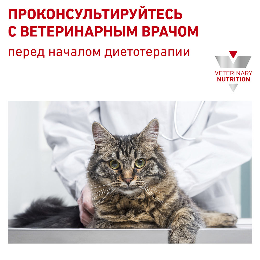 Консервы Royal Canin Urinary S/O (соус) для кошек и котят